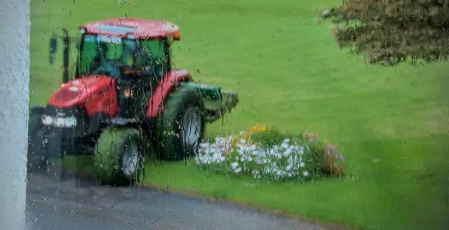 A red tractor parked among spring flowers