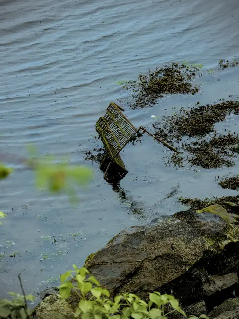 Rocks and seaweed at the water's edge