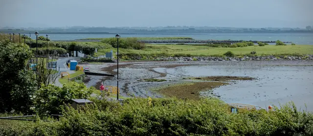 Salt marsh and estuary at low tide